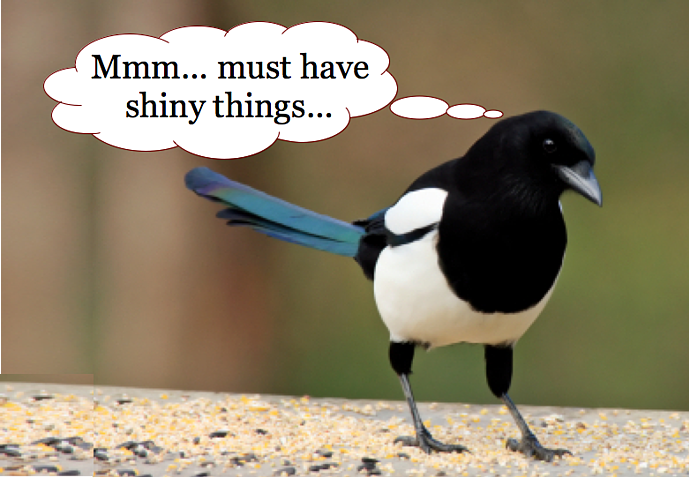 Magpie saying, "mmm...must have shiny things."