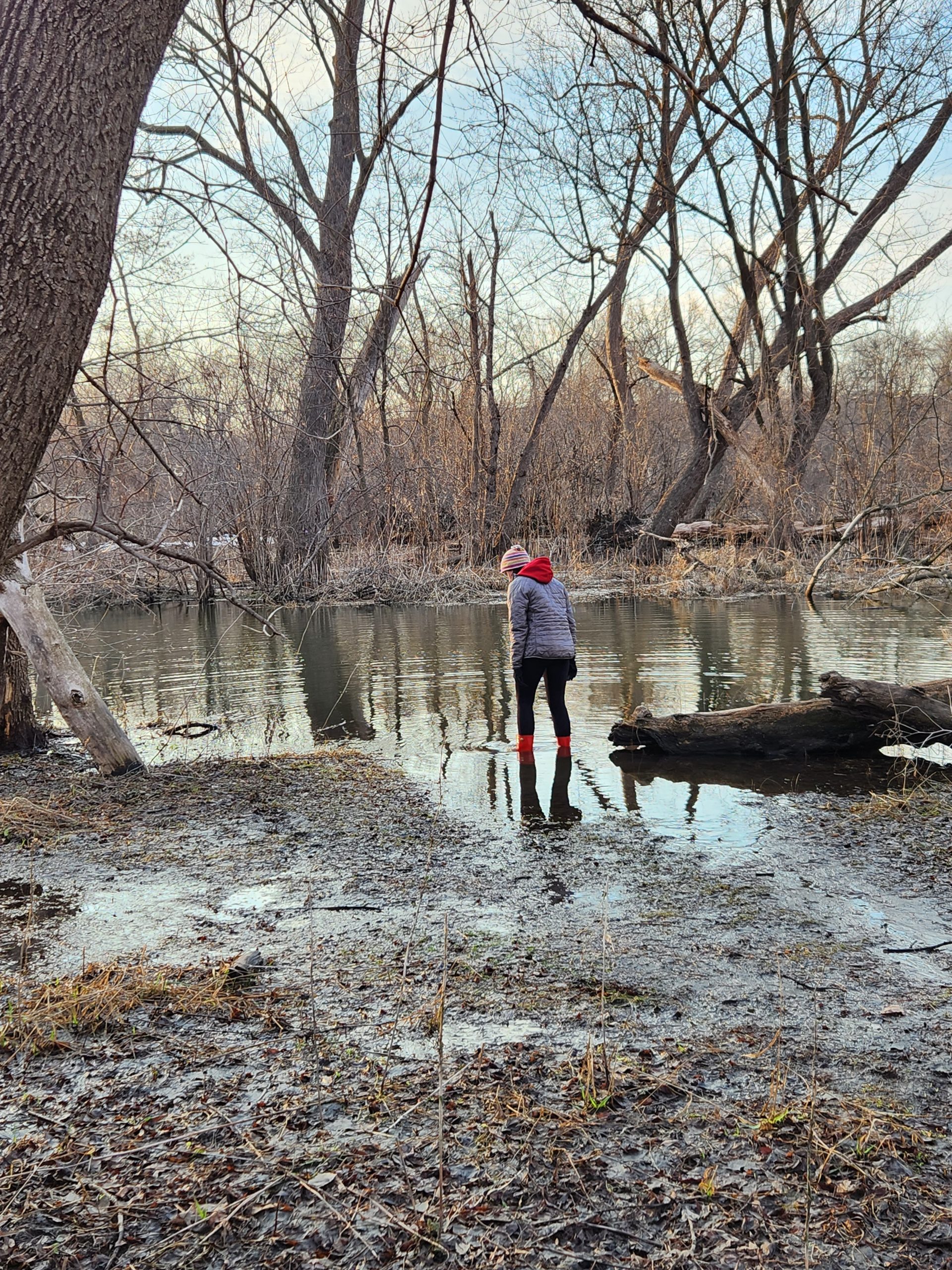 Erin standing in the flooded river in the Arb