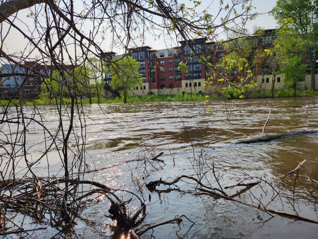 Branches in the flooded Cannon River across from the Fairfield Inn