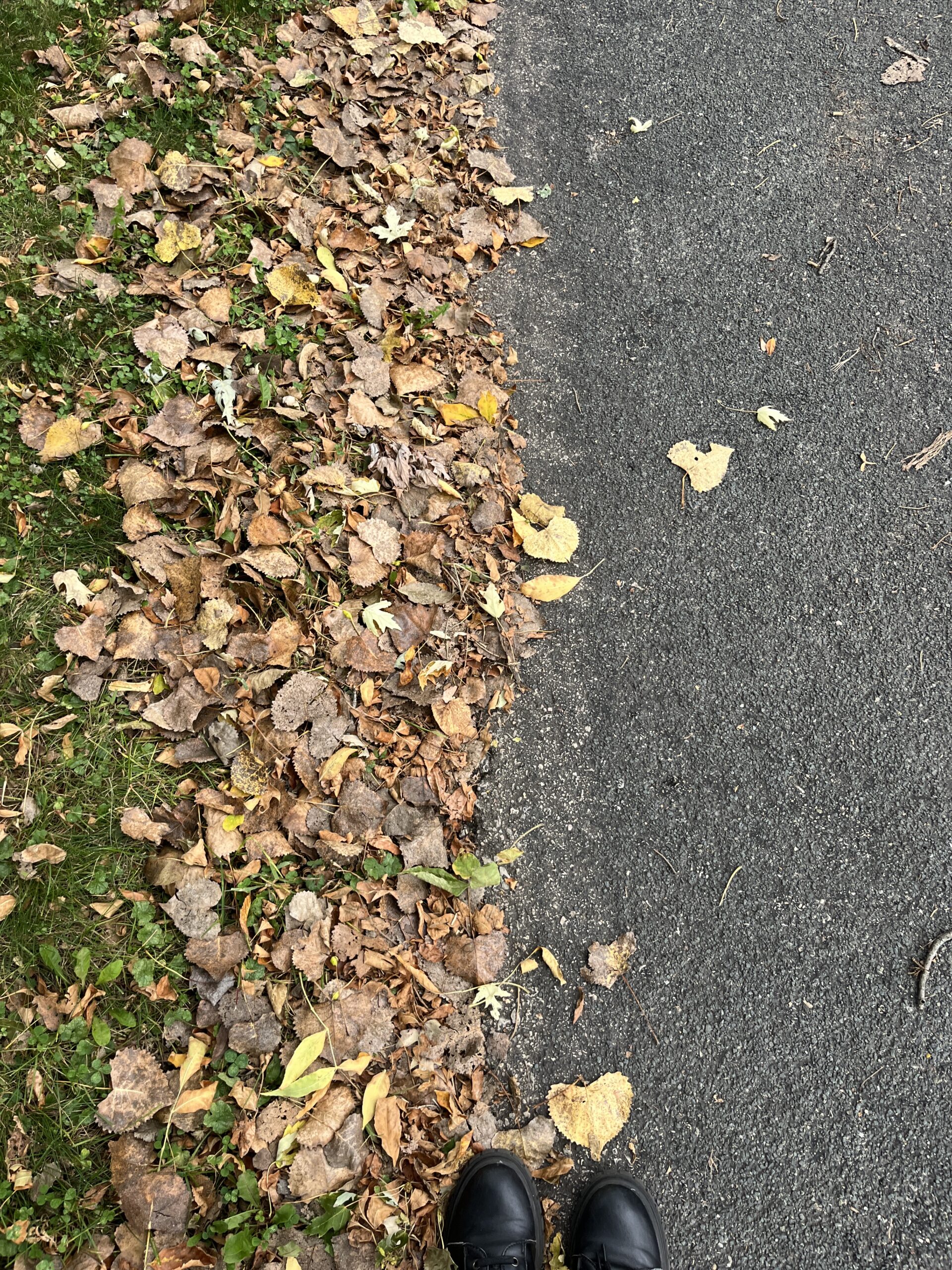 A picture of grass and concrete.