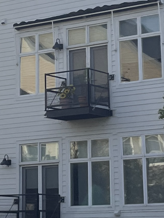 Potted sunflower on a balcony