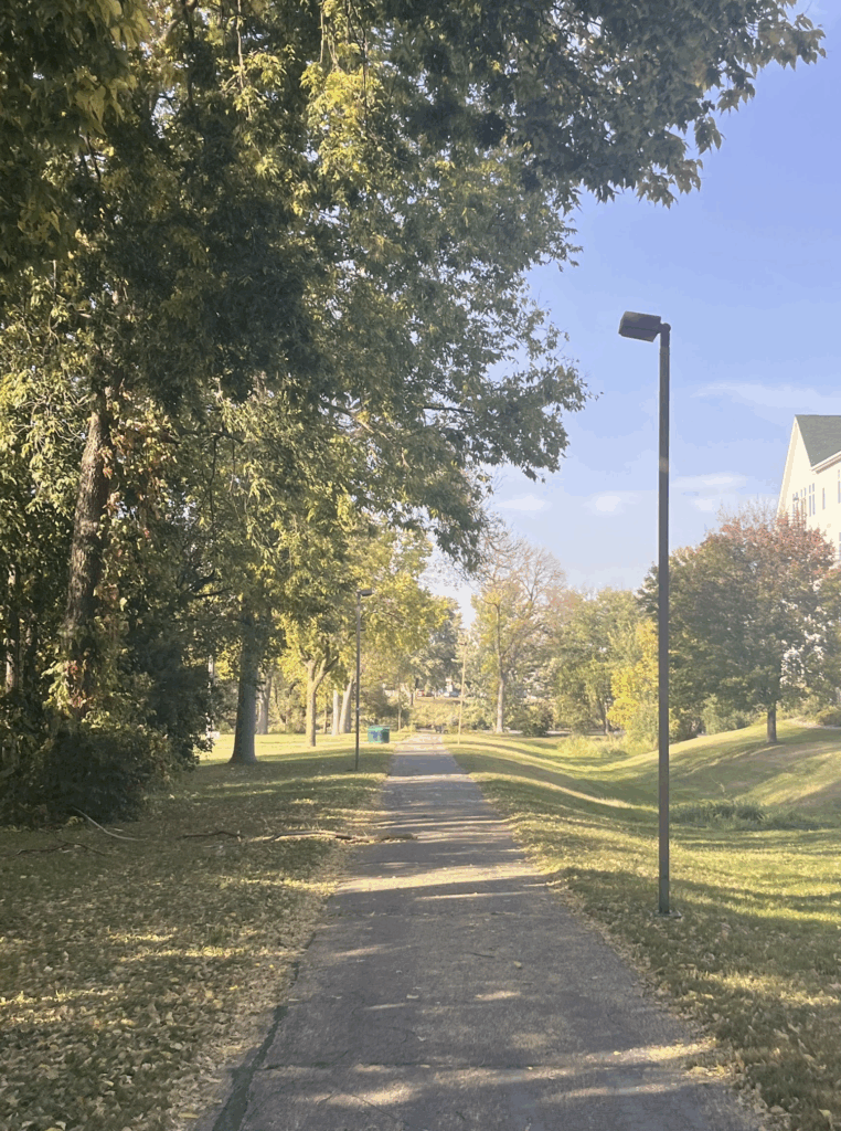 Small, sunny walking path 
