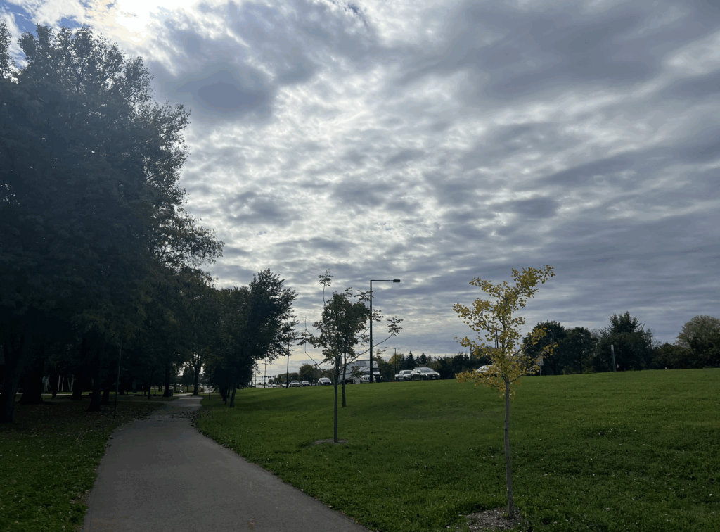 Walking East Northfield: The Triangle of Dahomey Ave, South Linden St., and West 9th St.